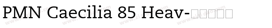 PMN Caecilia 85 Heav字体转换